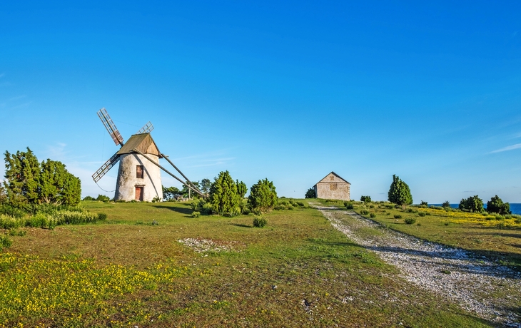 Windmühle und Haus auf einer Wiese unter blauem Himmel.