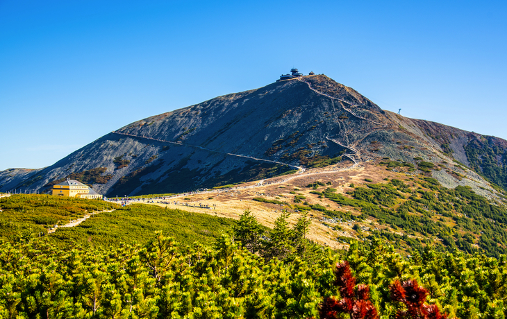 Ein Berg mit Pfad und Wald im Vordergrund unter klarem, blauem Himmel.