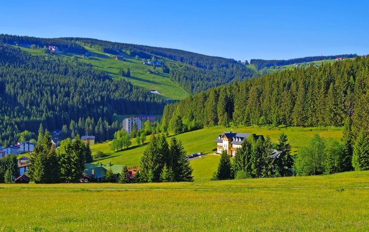 Grüne Hügel mit Wäldern und vereinzelten Häusern unter blauem Himmel.