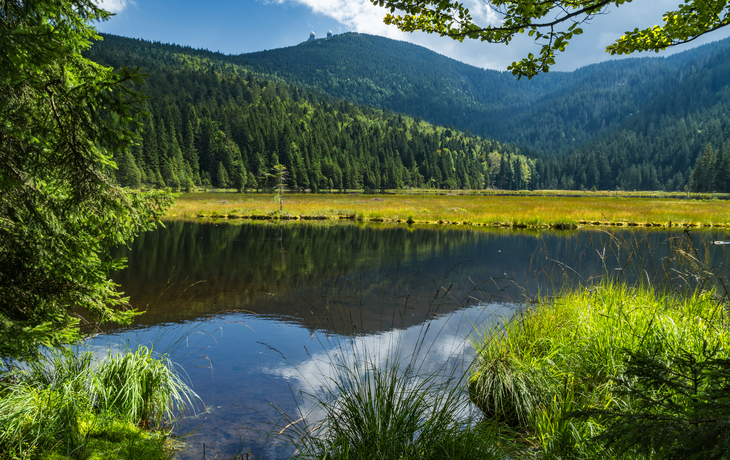 Bergsee mit Wiesen und Wald im Hintergrund bei klarem Himmel.