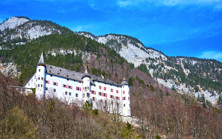 Schloss in den Alpen mit bewaldeten Bergen im Hintergrund bei blauem Himmel.