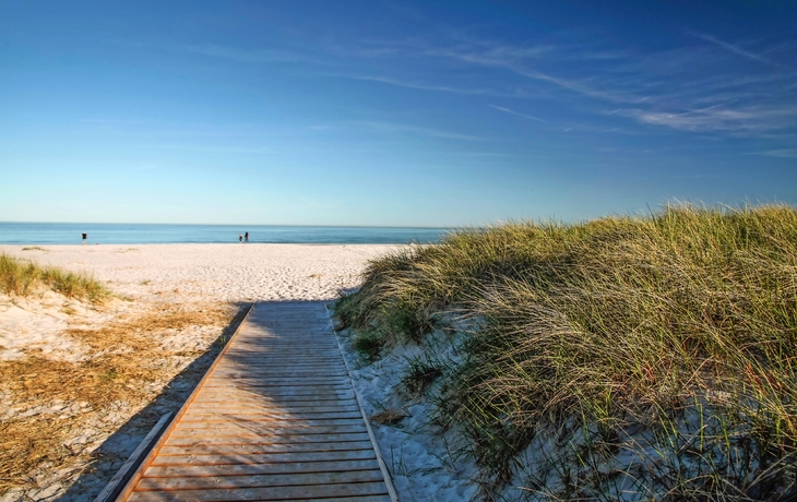 Holzsteg führt durch Dünen zu einem sandigen Strand mit klarem blauen Himmel.