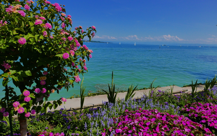 Blumeninsel Mainau am Bodensee.
