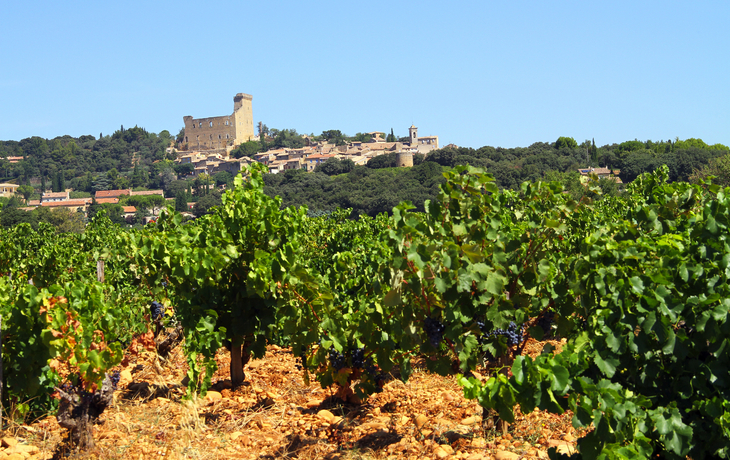 Weinberge vor mittelalterlicher Burg und Dorf auf Hügel.
