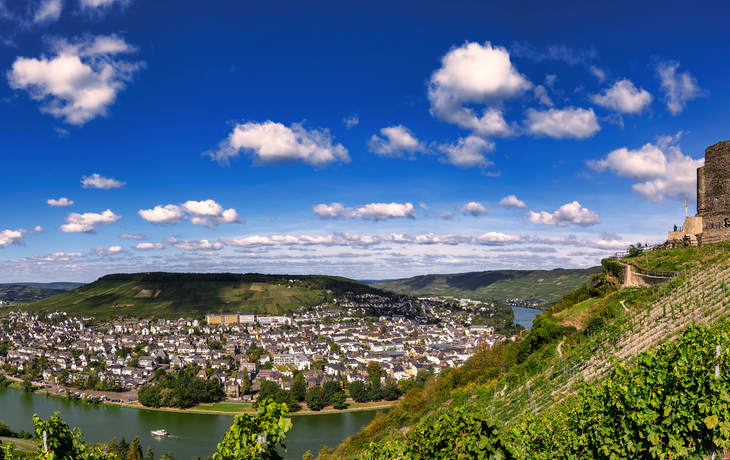 Blick auf eine Flusslandschaft mit Ruine auf einem Hügel und Stadt im Hintergrund.